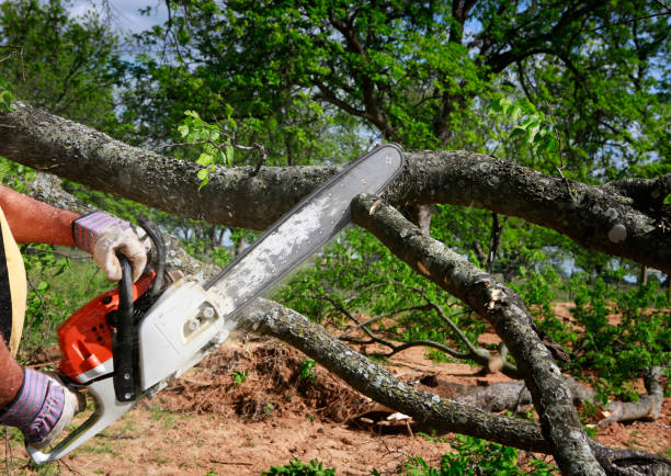 Landscape Design and Installation in East Dublin, GA